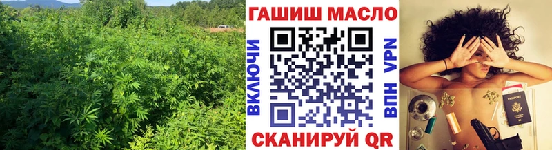 Купить закладки  Сафоново  Дистиллят ТГК концентрат 