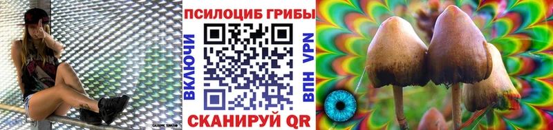 Купить где  Сафоново  Галлюциногенные грибы Magic Shrooms 